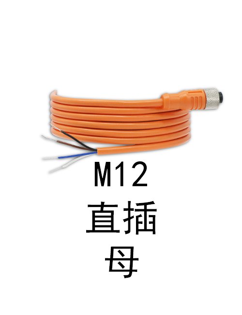 M12 直插 母